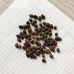 O1CN014YBjRL2JkjlStFW6B__2213216199460_jpg_q50_jpg