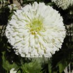 O1CN01bNmzs82BdOACUaEOX__2044468361-0-cib