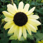 28147_pwyxgvn5jkpoihtv