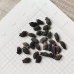 O1CN01t00HwZ2JkjZWWor41__2213216199460