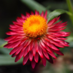 O1CN01VEQsJn2JkjmCpB1zM__2213216199460_jpg_q30_jpg