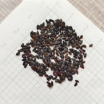 O1CN01e7Sspx2Jkjm1IZMdx__2213216199460