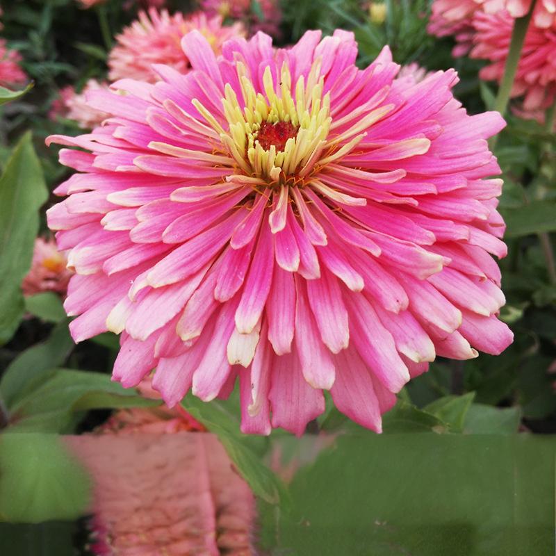 5e1fba3fbff601c85cd9e4d49bd7f540