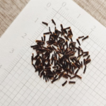 O1CN01VOp1UJ2BdOG0ZqA3L__2044468361-0-cib