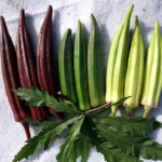 607d2e984a88494d093e5b907d36d73c