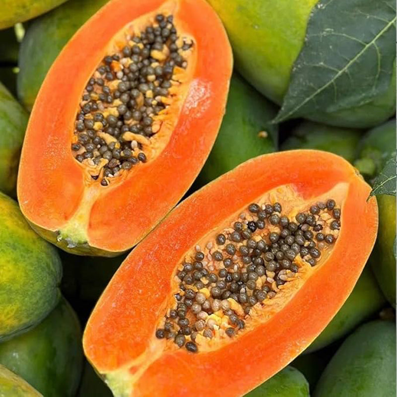 Red Heart Creamy Papaya Seeds Rich Sweet and Nutrient Packed Fruits