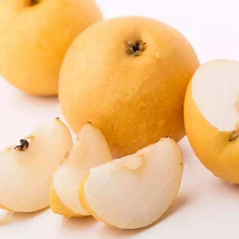 Pear Seeds Yellow Chinese Pear Tree Bonsai Seeds Sweet Delicious Exoti
