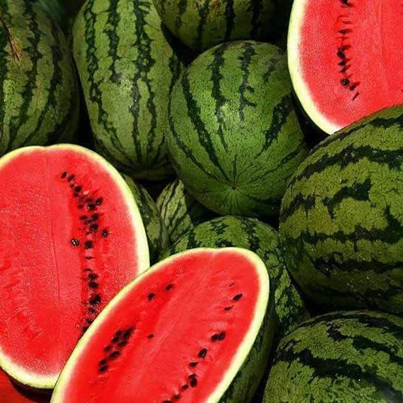 Jubilee Watermelon Seeds for Planting