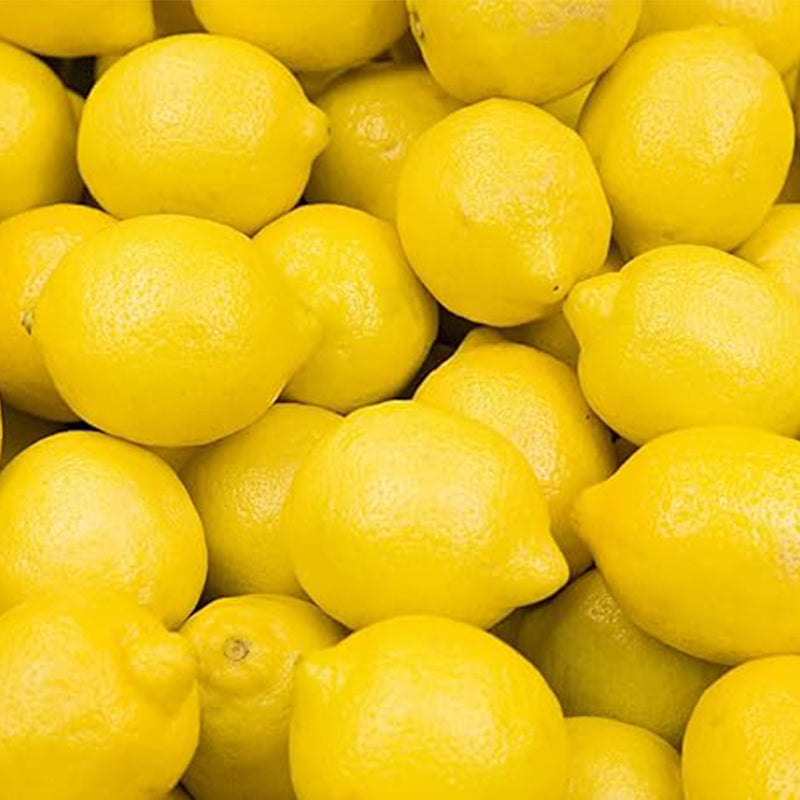 Lemon Seeds for Planting Organic High Survival Rate Lemon Tree Seeds P