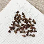 O1CN01D1KqUC2JkjllT4gaQ__2213216199460_jpg_q30_jpg