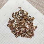 O1CN013QxHh72JkjlbcJlQX__2213216199460_jpg_q50_jpg