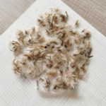 O1CN019APb4A2JkjjVMHWXX__2213216199460