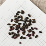 O1CN01jPVtSl2JkjldWlDOh__2213216199460_jpg_q50_jpg