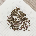 O1CN01cLPdgt2BdOJDt0o2n__2044468361-0-cib_1