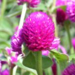 O1CN01MR6evu2BdOJAOZZL6__2044468361-0-cib