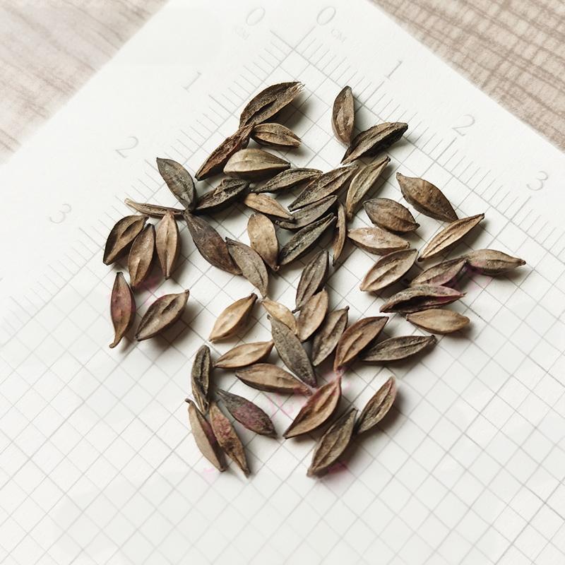 6e4d411da618d4090a9a84ad5c4a4ae4