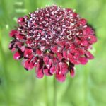 O1CN019QAzD42JkjaVT13eH__2213216199460_jpg_q30_jpg