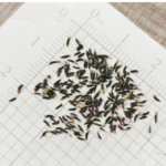 O1CN015i8AuX2JkjlgfoluR__2213216199460_jpg_q30_jpg