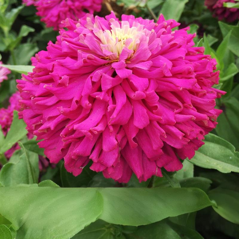 7867097991d634d4e0e7e97b87f3e12d