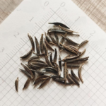 O1CN01pA1Lt22JkjXfS3QGv__2213216199460