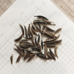 O1CN01LXtYRw2JkjlhO5hSp__2213216199460_jpg_q50_jpg