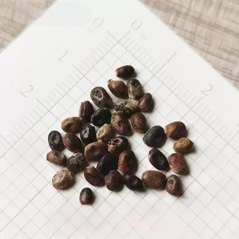 84f58ea81d531359b4c7bc2835cbeee1