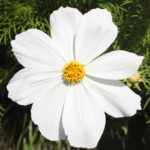 O1CN01pA1Lt22JkjXfS3QGv__2213216199460