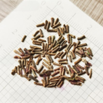 85120-1-Verbena_Quartz_XP_Red_With_Eye