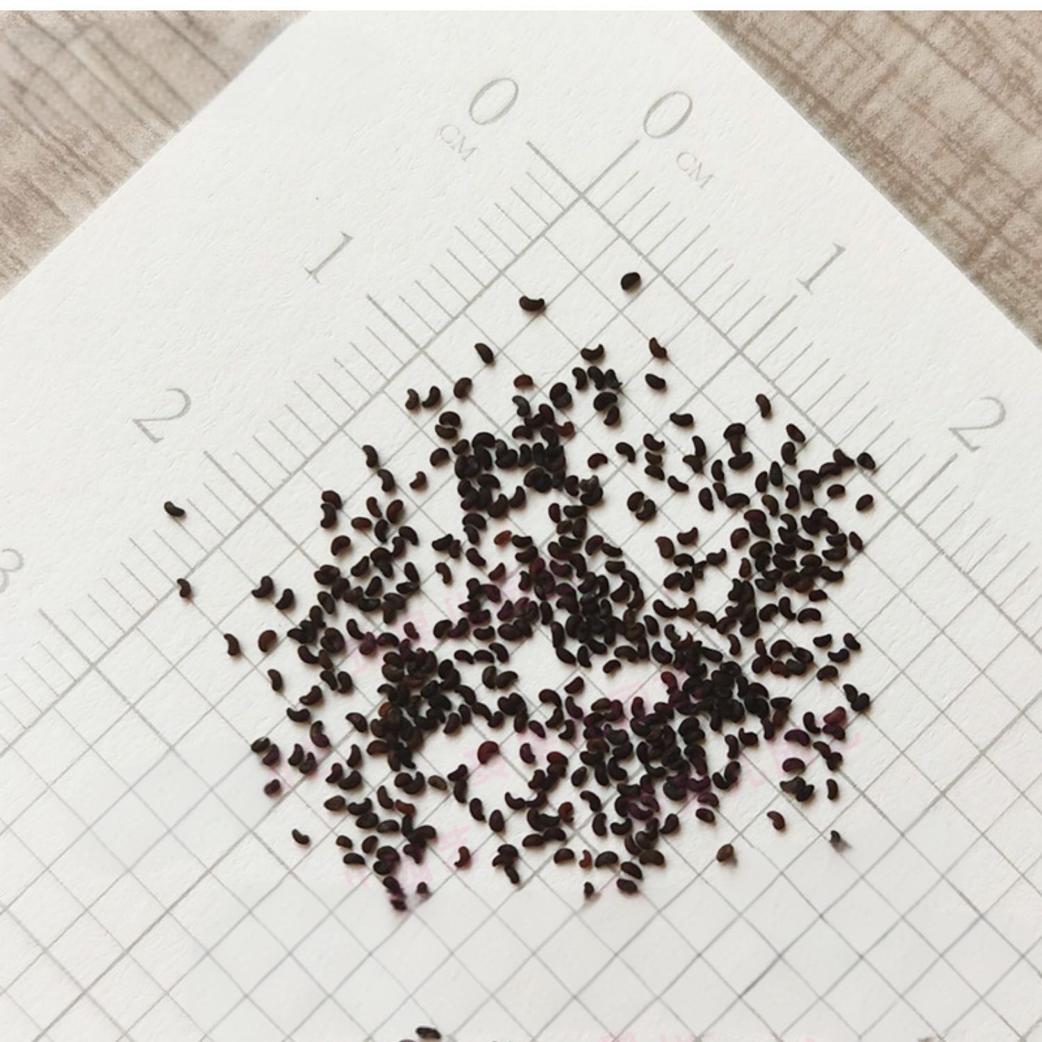 8a06074d0d463783c977e3971a47f63b