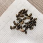 O1CN017pIRa01wtg8e9S39N__753026366_jpg_q50_jpg