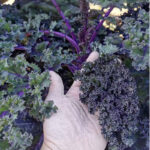 O1CN01cmSjMh1PyMsDENPqO__409171909