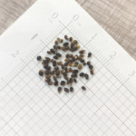 O1CN0194pKr12JkjlgCM9nu__2213216199460_jpg_q30_jpg