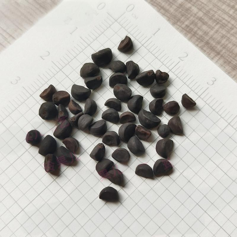 94ae1261506de61b6488a6d23958209d