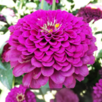 O1CN01EIJLmB2JkjlxolSaG__2213216199460_jpg_q50_jpg