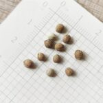 O1CN01dJaUnQ2BdOQAC0hxD__2044468361-0-cib