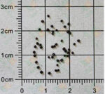 O1CN019f92aB2BdOAJhboDg__2044468361-0-cib_1