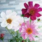 O1CN01pA1Lt22JkjXfS3QGv__2213216199460