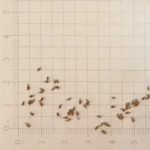 264aa4e45ea2c75b4c9aa4b90b4852e8_jpg_2200x2200q80_jpg