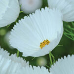 O1CN01St3xc52JkjWzJtGRR__2213216199460