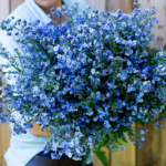 O1CN011YA8mc2JkjlRo2fdy__2213216199460_jpg_q50_jpg