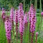 O1CN01RfN2YO2JkjbFcDOWe__2213216199460