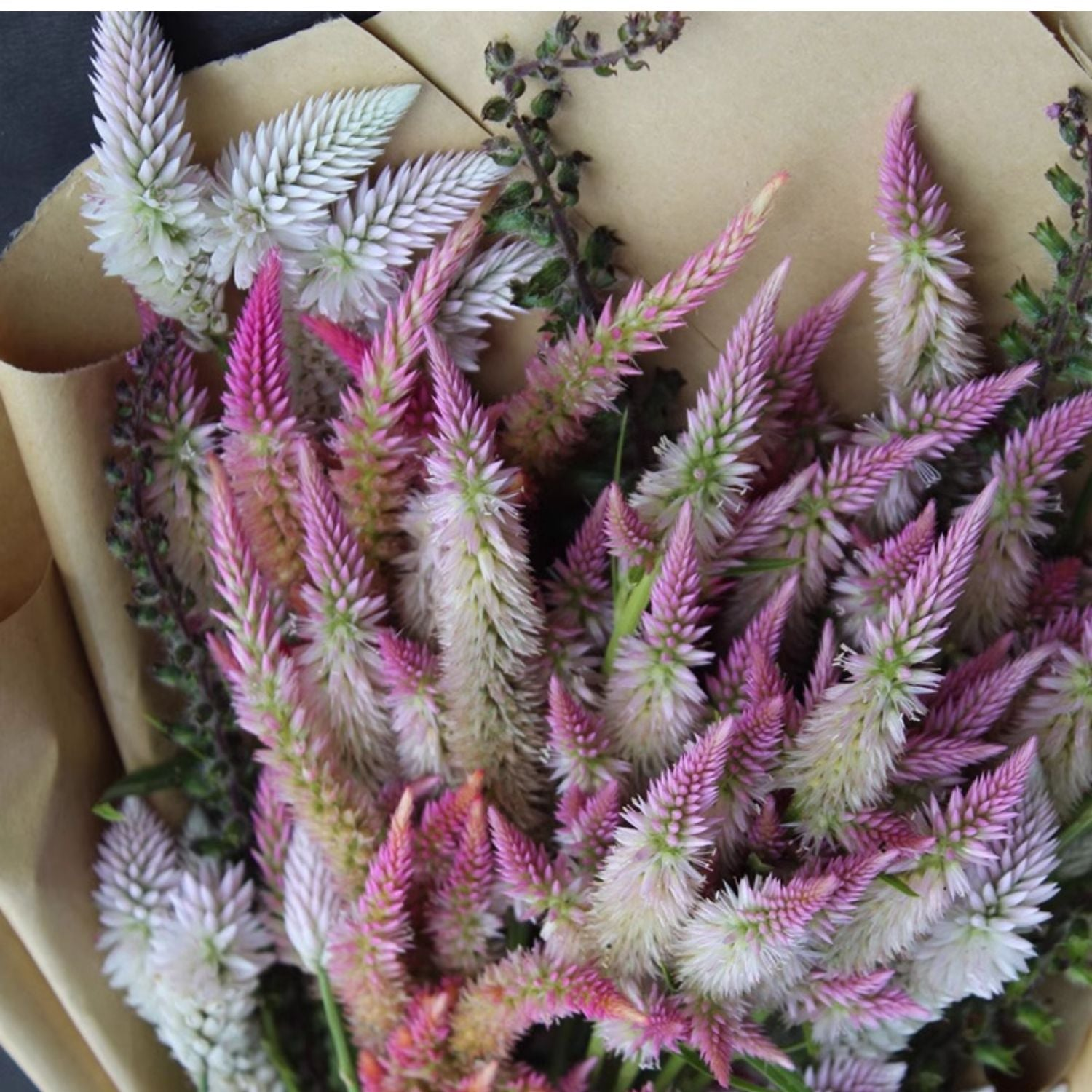 O1CN010bVGir2JkjlWk5Hmk__2213216199460