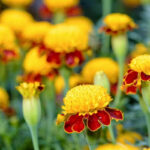 O1CN01DxnaMh1O57MwoKpor__324561653_jpg_q50_jpg_efcca446-066c-4fe2-b9e4-f98f035b1abf