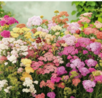 O1CN010hx03d2JkjlXkJsBw__2213216199460