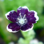 O1CN0194pKr12JkjlgCM9nu__2213216199460_jpg_q30_jpg