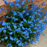 O1CN011YA8mc2JkjlRo2fdy__2213216199460_jpg_q50_jpg