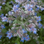 O1CN01t00HwZ2JkjZWWor41__2213216199460