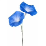 O1CN01bUqQGn2BdOFsjesS2__2044468361-0-cib_1-2