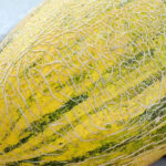 O1CN01eq0N1h2NEugPsf4qm__2212859129932_jpg_q50_jpg