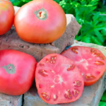 O1CN01sitHsY1z3PvqGsiD7__2200672176658_jpg_q50_jpg